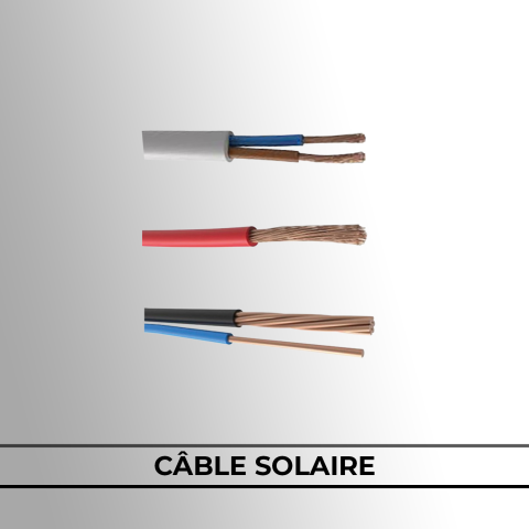 Câble Domestique